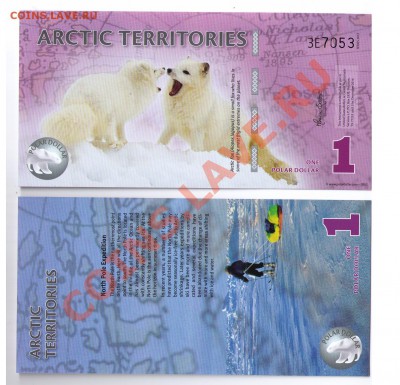 13 - arctic-1dollar
