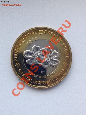 1 евро проба Словения UNC до 19,12,13 - IMG_2883