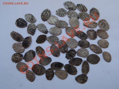 Чешуя РаЗнАя. 50 шт. до 21.12.13  22.00 - SAM_2492.JPG