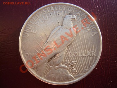 США: Ag-900 Пис-доллар 1923 до 19.12.13, 22-00 - США доллар 1923-к-2.JPG