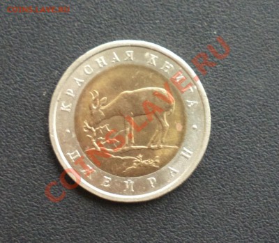 ДЖЕЙРАН 50р 1994 до 20 12 22 22 м - 016_cr