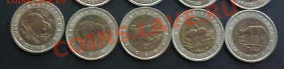 КРАСНАЯ КНИГА комплект 15шт 1991-94 до 20 12 22 22 м - 018_c