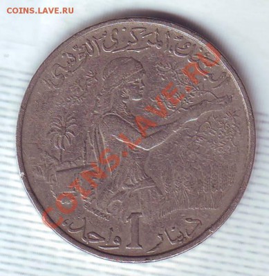 Тунис.Динар.1976.F.A.O. до 21.12 - 19760057.JPG