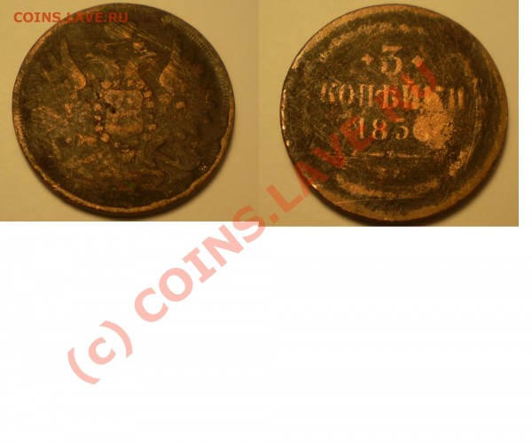 1 - МОНЕТА.JPG