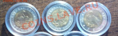 КРАСНАЯ КНИГА 1994 комплект 5 шт-до 20 12 22 22 м - 94 1_cr