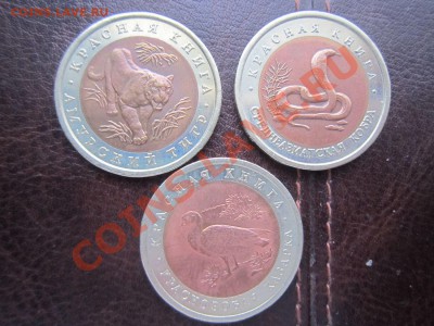Красная книга 3 монеты 1992 - 18.12 22:00 - IMG_4898