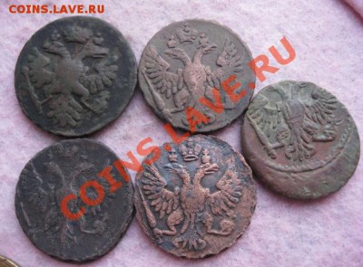 Деньги 1737,48,49,50г.5 шт.до19.12.13. - Изображение 5519 (2)