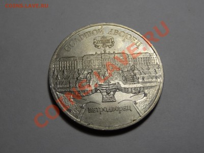3х 5р Регистан, Петродворец, Ленинград до 22.12.13 23:00 МСК - DSC01874.JPG