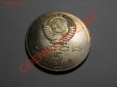 3х 5р Регистан, Петродворец, Ленинград до 22.12.13 23:00 МСК - DSC01877.JPG
