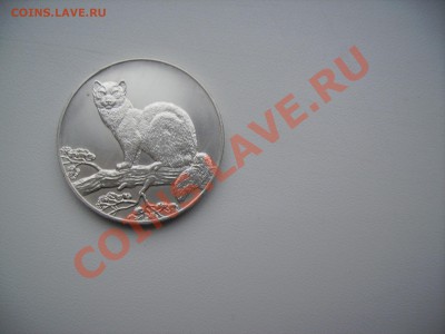Серебро 3 рубля 1995 Соболь. до 24.12.13 - PICT4305.JPG