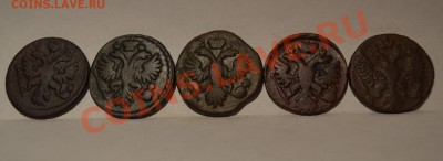 деньга 5 штук. - DSC_0032 (2).JPG