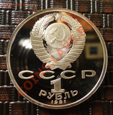 Бег без запайки - DSC02078.JPG
