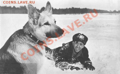 КИНЕМАТОГРАФ на конвертах и марках - Юрий Никулин - Ко мне, Мухтар!