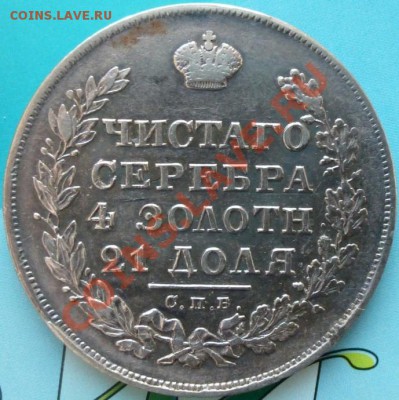 XF+ - 1829.JPG