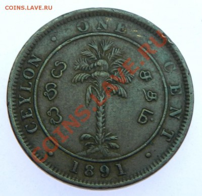 Цейлон 1 цент 1891 до 20.12 - DSCN6344.JPG