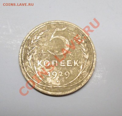 5 КОП 1929г до 22 дек.  22:00 мск - IMG_2038
