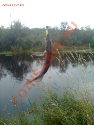 СТРАНИЧКА РЫБАКА - Фото0292