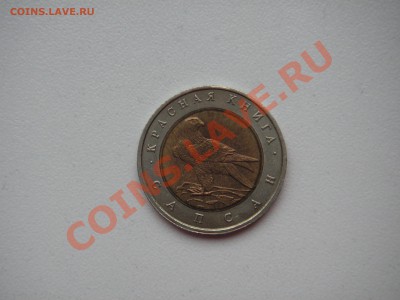 Красная книга 50 рублей 1994. САПСАН  21.00 25.12.13 - 004.JPG