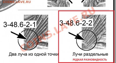 12 - разновид