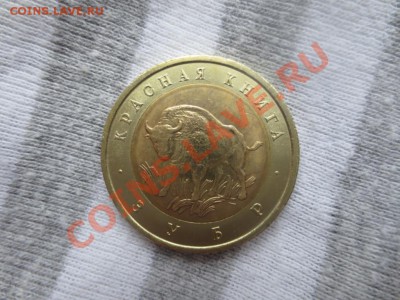 50 рублей. Красная книга. Зубр. - IMG_1051.JPG