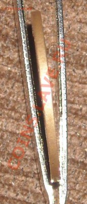 Гурт - DSCN4470.JPG