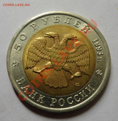 Эублефар - DSC02164.JPG