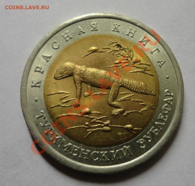 Эублефар - DSC02163.JPG