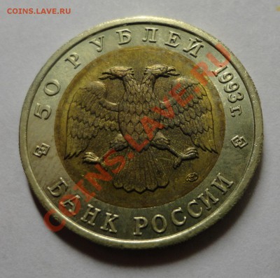 Кавказский тетерев - DSC02170.JPG