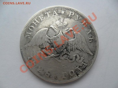 нг крылья вниз - SAM_5948.JPG