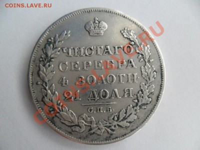 нг крылья вниз - SAM_5950.JPG