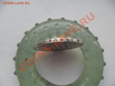 нг крылья вниз - SAM_5954.JPG