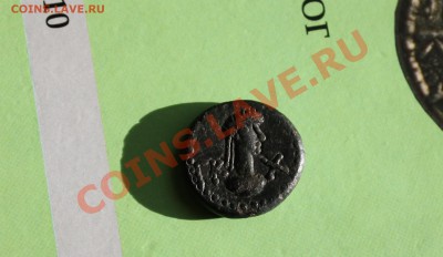 Статер Рескупорида 5 (326 г.н.э.) Хорошее состояние - 2.JPG