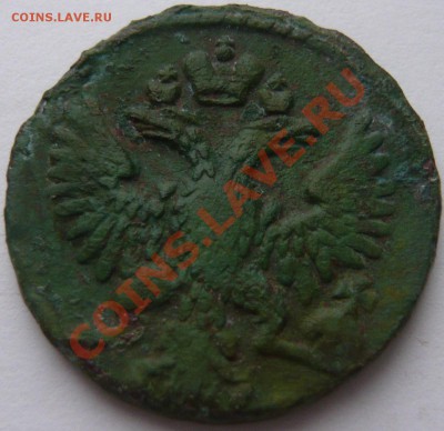 Полушка 1735, денга 1736-53 7 шт. до 28.12.2013 г. 22.00 мск - P1110604.JPG