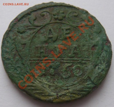 Полушка 1735, денга 1736-53 7 шт. до 28.12.2013 г. 22.00 мск - P1110603.JPG