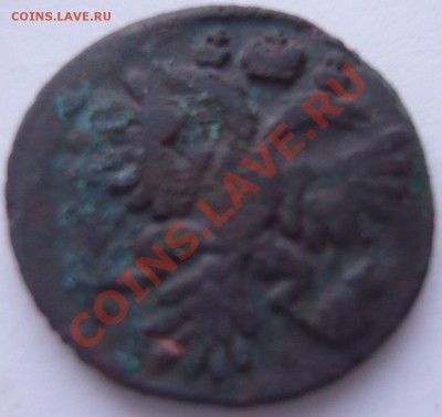Полушка 1735, денга 1736-53 7 шт. до 28.12.2013 г. 22.00 мск - P1110630.JPG