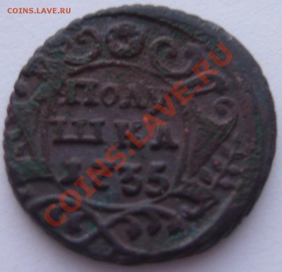 Полушка 1735, денга 1736-53 7 шт. до 28.12.2013 г. 22.00 мск - P1110628.JPG