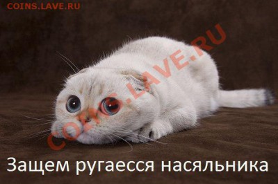 2 рубля 2009 м сталь - интересный аверс - oR6Qiyz_je8[1]