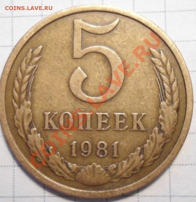 5 копеек 1981 г. шт.3 А ??? - DSC00809.JPG