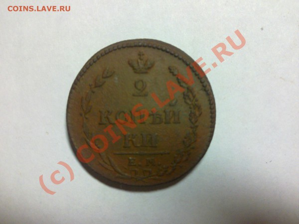 НМ - 06022010099