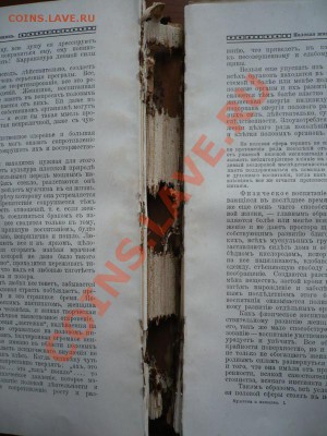 "Мужчина женщина" том 1 под ред. А.С. Догеля... оценка - P1250469.JPG