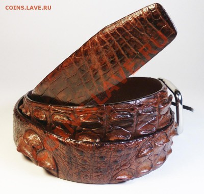 Изделия из кожи крокодила и питона. - DSC_0321