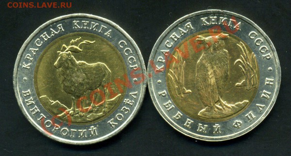 КРАСНАЯ КНИГА-91г  ДО 10.02.10г. - img254
