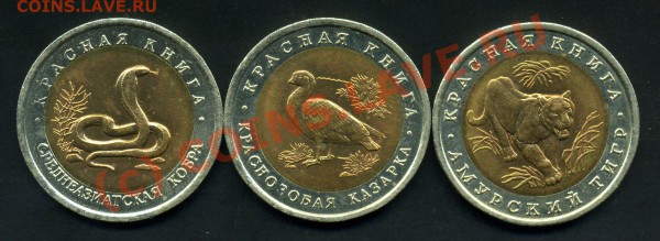 КРАСНАЯ КНИГА-92г.-ДО 10.02.10г - img257