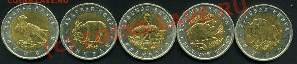 КРАСНАЯ КНИГА-94г.-ДО 10.02.10г. - img250
