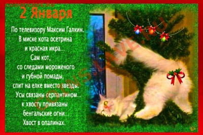 набор Шпицберген за лучший НГ анекдот Победитель - Untitled_4