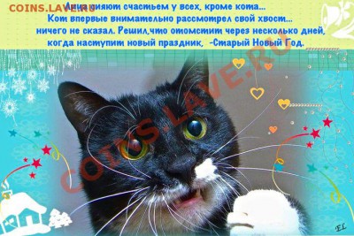 набор Шпицберген за лучший НГ анекдот Победитель - Untitled_13