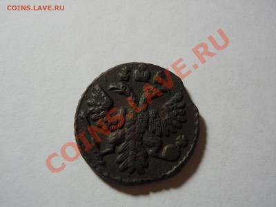 Полушка 1735 года в сохране - DSCN1788.JPG