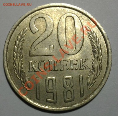 20 коп 1981г. ф-142 Самая редкая в году до 05.01 22.00 - 20140102_191126