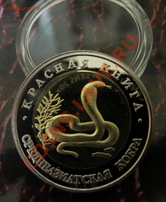 комплект - IMG_5904.JPG