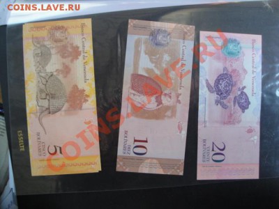Фауна на бонах Венесуэлы 2-10-20  до 10.1  в 21-00 мск - много бон 162.JPG